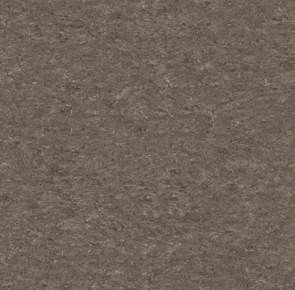 Tarkett | Linoleum Veneto XF2 2,0 mm 14871 608 (Tarkett), šíře 200 cm