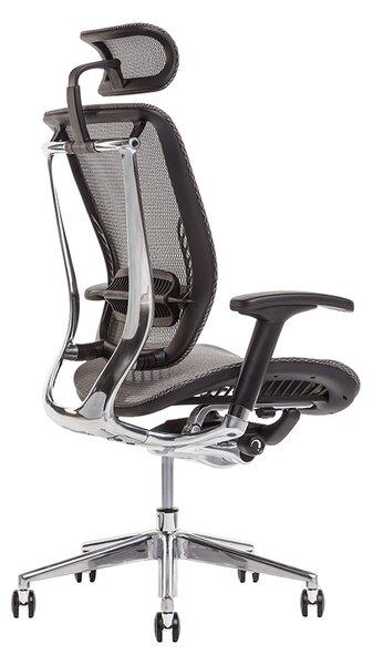Kancelářská ergonomická židle LACERTA — více barev, nosnost 150 kg Antracit
