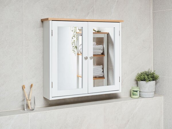 Nástěnná zrcadlová skříňka do koupelny ALAMOS 65 cm 60 cm Bílá