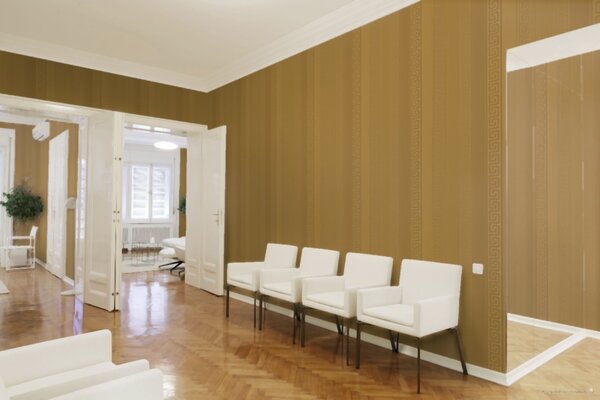A.S. Création | Vliesová tapeta na zeď VERSACE 93524-2 | 0,70 x 10,05 m | zlatá