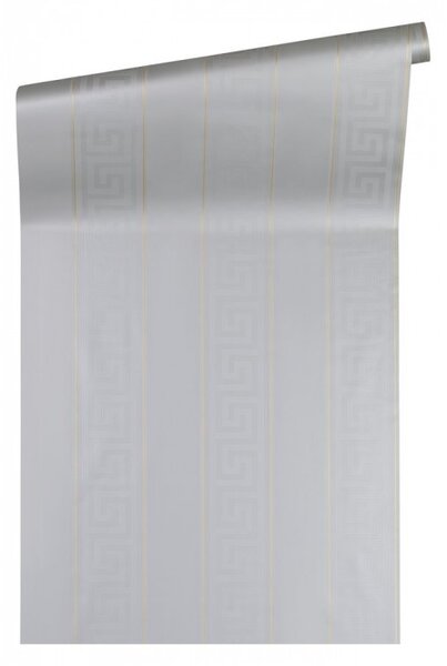 A.S. Création | Vliesová tapeta na zeď VERSACE 93524-5 | 0,70 x 10,05 m | metalická