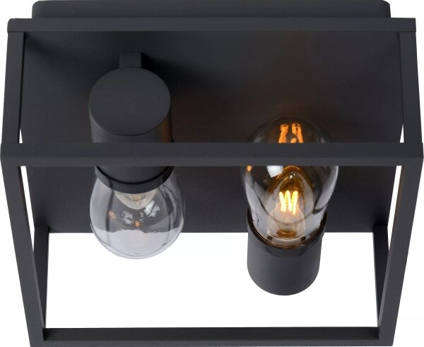 Lucide 27100/02/30 - Koupelnové stropní svítidlo CARLYN 2xE14/6W/230V IP54