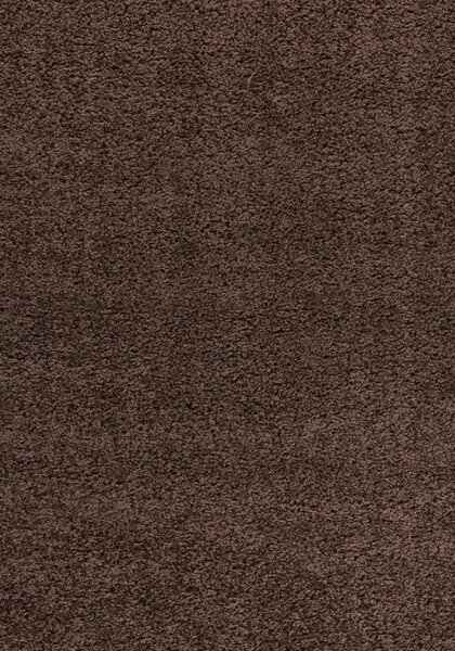 Vopi | Kusový koberec Dream Shaggy 4000 brown - 60 x 110 cm