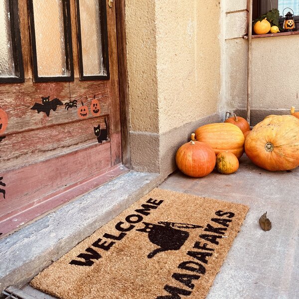 Hanse Home Rohožka Welcome madafakas 105668 - na ven i na doma - 45x75 cm