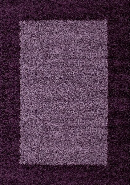 Vopi | Kusový koberec Life Shaggy 1503 lila - 120 x 170 cm