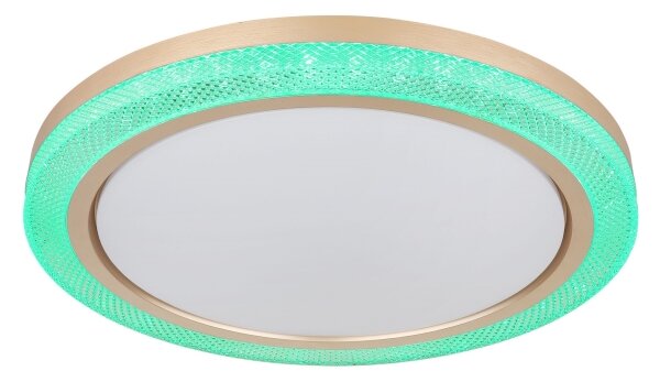 Globo 41372-24 - LED RGBW Stmívatelné stropní svítidlo BOLLY LED/20W/230V + DO