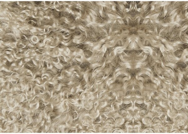 Skinnwille Home Collection Kožešinový polštář Taupe, tibetská kožešina, 40x40 cm