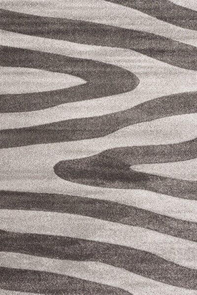 Vopi | Kusový koberec Vegas Home 04BWB - 120 x 170 cm, šedý