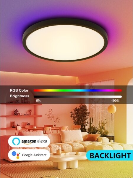 Immax NEO 07170-B60 - LED RGB Stmívatelné svítidlo TUDO 65W/230V Wi-Fi Tuya + DO