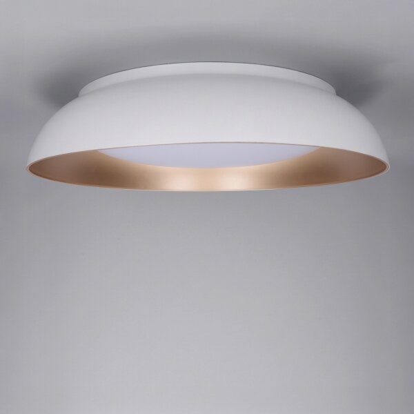 Brilagi -LED Stmívatelné svítidlo ALVA LED/48W/230V 3000-6500K pr. 51 cm bílá+DO