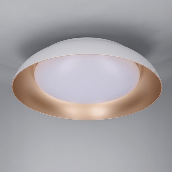 Brilagi -LED Stmívatelné svítidlo ALVA LED/48W/230V 3000-6500K pr. 51 cm bílá+DO