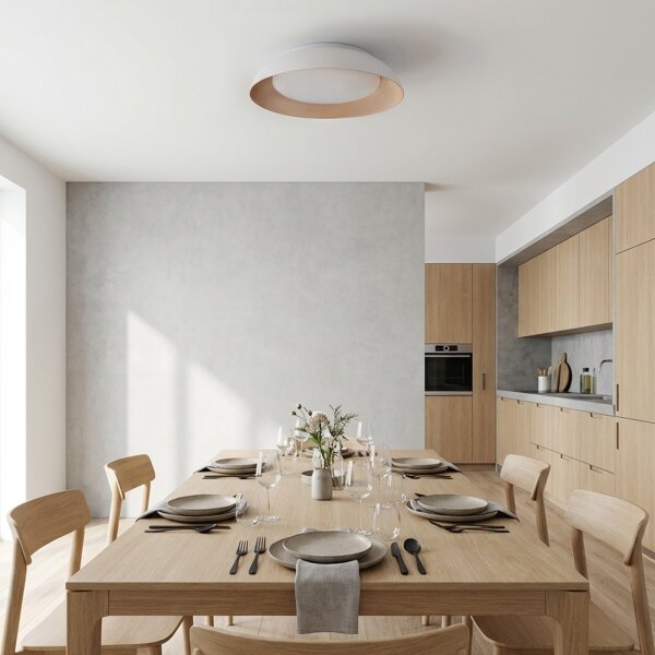 Brilagi -LED Stmívatelné svítidlo ALVA LED/48W/230V 3000-6500K pr. 51 cm bílá+DO
