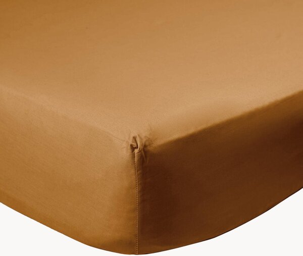 Napínací prostěradlo na kontinentální postel z bavlněného perkálu Caramel
