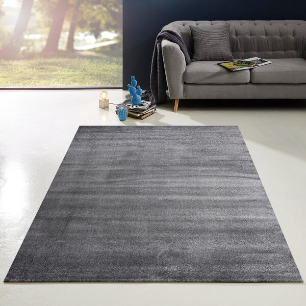 Hans Home | Kusový koberec Enjoy 800 Grey