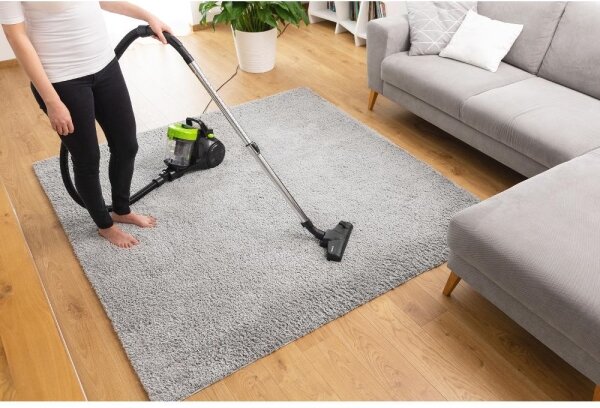 Sencor - Bezsáčkový vysavač 2 l 700W/230V černá/zelená