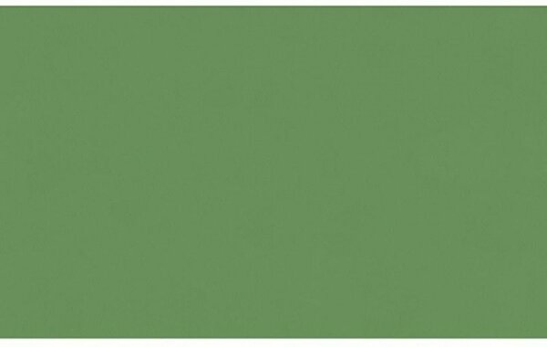 A.S. Création | Vliesová tapeta na zeď AP Longlife Colours 30729-1 | 1,06 x 21 m | zelená