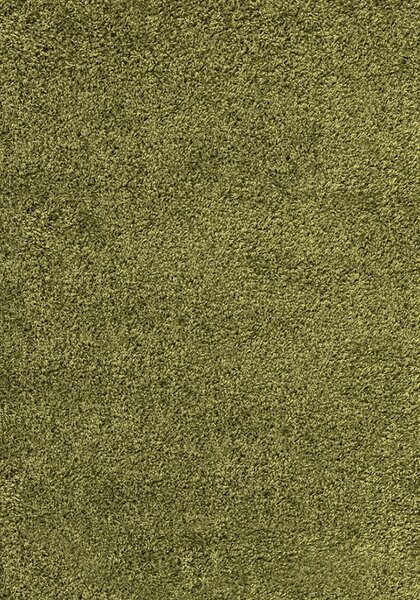 Hans Home | Kusový koberec Dream Shaggy 4000 green - 80x150