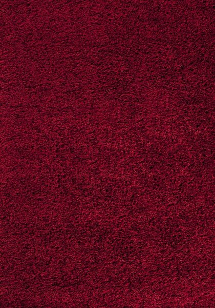 Hans Home | Kusový koberec Dream Shaggy 4000 Red - 160x230
