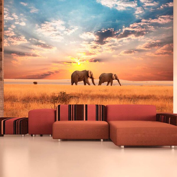 Fototapeta - Afričtí sloni v savaně 300x231 + zdarma lepidlo