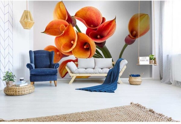 DIMEX | Vliesové fototapety na zeď Kala MS-5-0152 | 375 x 250 cm| oranžová, bílá, zelená
