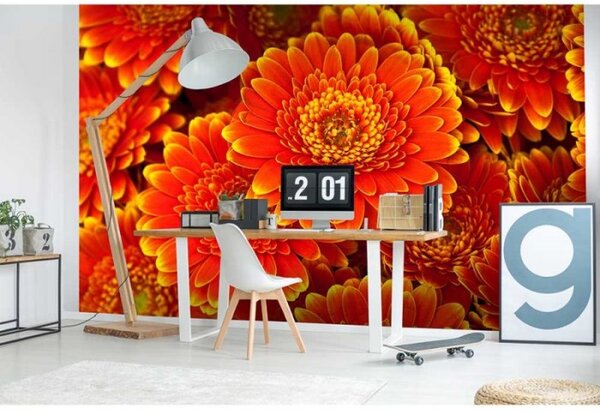 DIMEX | Vliesové fototapety na zeď Gerbera MS-5-0131 | 375 x 250 cm| červená, žlutá