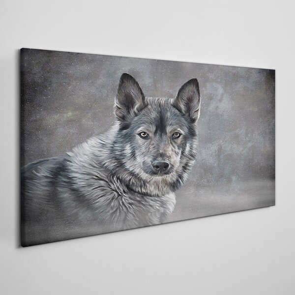 Obraz na plátně Obraz na plátně Zimní sníh zvířecí vlka pes