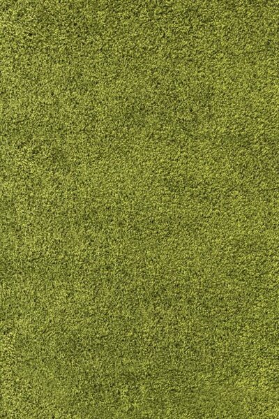 Hans Home | Kusový koberec Life Shaggy 1500 green - 120x170