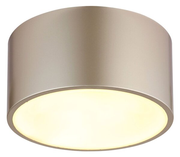 Globo RAYMOND LED stropní svítidlo, 900 lm, 12 W
