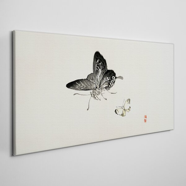 Obraz na plátně Obraz na plátně Moderní hmyz motýl