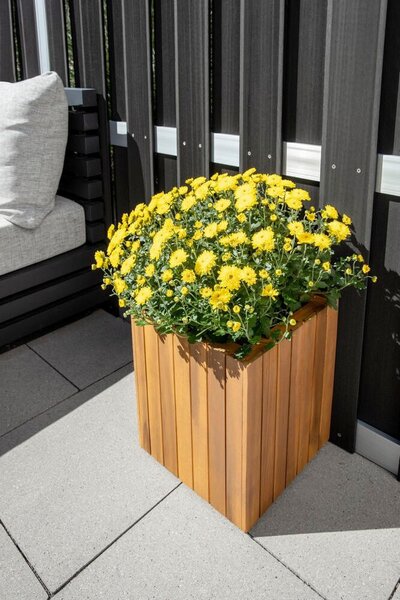TRUHLÍK NA KVĚTINY dřevo, 30/30/35 cm Prestige Home - Online Only letní radovánky, Online Only