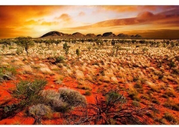 DIMEX | Vliesové fototapety na zeď Austrálie MS-5-0050 | 375 x 250 cm| oranžová, žlutá, hnědá, zelená