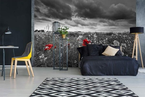 DIMEX | Vliesové fototapety na zeď Černobílé vlčí máky MS-5-0091 | 375 x 250 cm| černobílá, červená