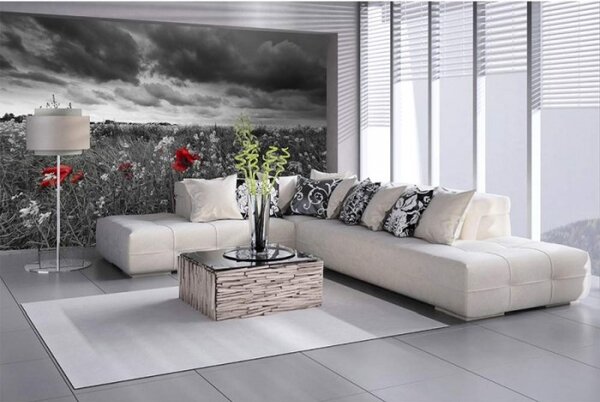 DIMEX | Vliesové fototapety na zeď Černobílé vlčí máky MS-5-0091 | 375 x 250 cm| černobílá, červená