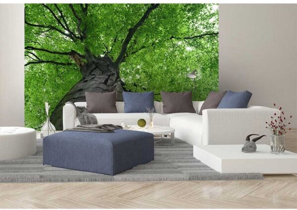 DIMEX | Vliesové fototapety na zeď Koruna stromu MS-5-0101 | 375 x 250 cm| šedá, zelená