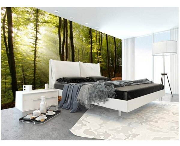 DIMEX | Vliesové fototapety na zeď Les MS-5-0098 | 375 x 250 cm| zelená, hnědá