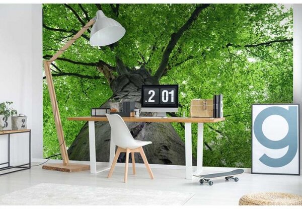 DIMEX | Vliesové fototapety na zeď Koruna stromu MS-5-0101 | 375 x 250 cm| šedá, zelená