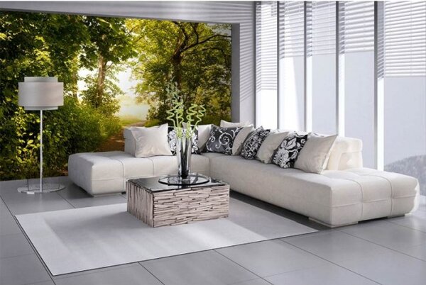 DIMEX | Vliesové fototapety na zeď Lesní cesta MS-5-0093 | 375 x 250 cm| zelená, hnědá