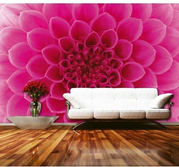 DIMEX | Vliesové fototapety na zeď Růžová jiřina MS-5-0132 | 375 x 250 cm| růžová