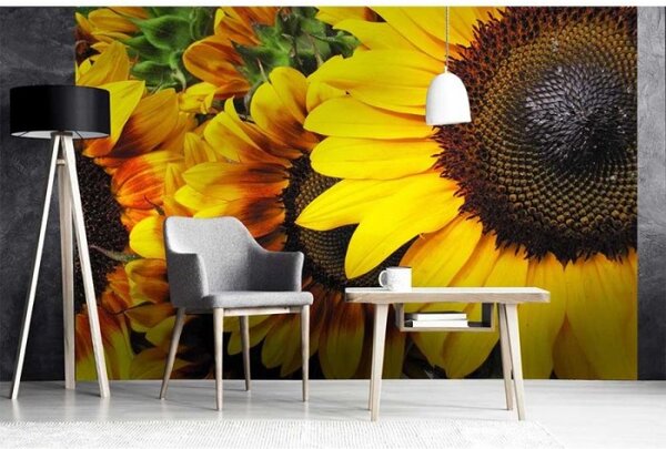 DIMEX | Vliesové fototapety na zeď Slunečnice MS-5-0130 | 375 x 250 cm| žlutá, hnědá, zelená