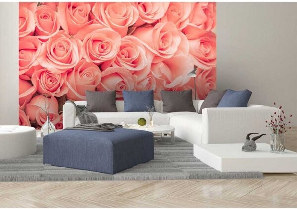 DIMEX | Vliesové fototapety na zeď Růže MS-5-0133 | 375 x 250 cm| růžová