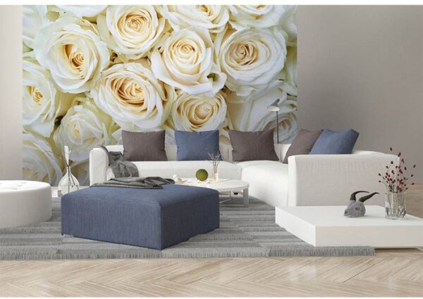 DIMEX | Vliesové fototapety na zeď Bílé růže MS-5-0137 | 375 x 250 cm| bílá, krémová