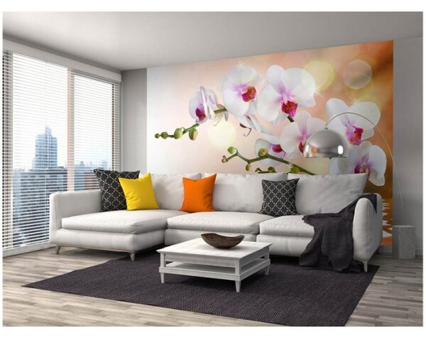 DIMEX | Vliesové fototapety na zeď Bílá orchidej MS-5-0147 | 375 x 250 cm| bílá, zelená, růžová, oranžová