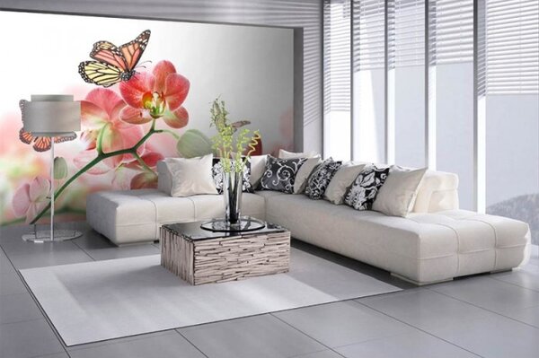 DIMEX | Vliesové fototapety na zeď Motýli a orchideje MS-5-0146 | 375 x 250 cm| bílá, vícebarevná