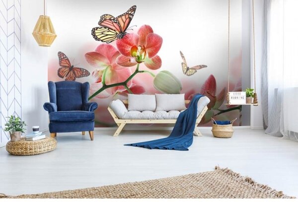 DIMEX | Vliesové fototapety na zeď Motýli a orchideje MS-5-0146 | 375 x 250 cm| bílá, vícebarevná