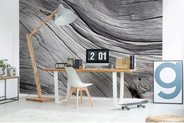 DIMEX | Vliesové fototapety na zeď Struktura stromu MS-5-0160 | 375 x 250 cm| šedá