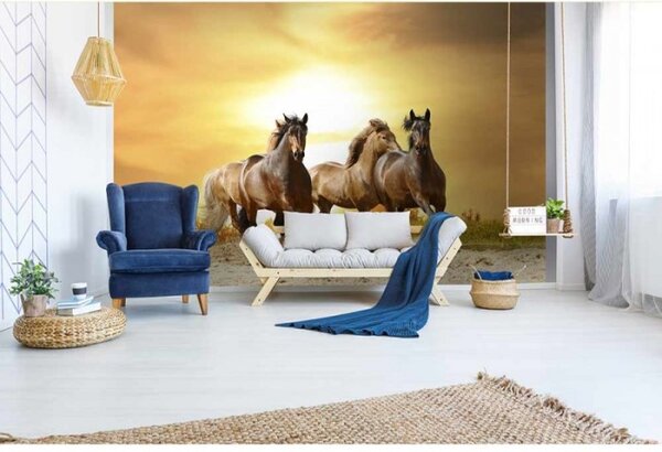 DIMEX | Vliesové fototapety na zeď Koně při západu slunce MS-5-0227 | 375 x 250 cm| žlutá, hnědá