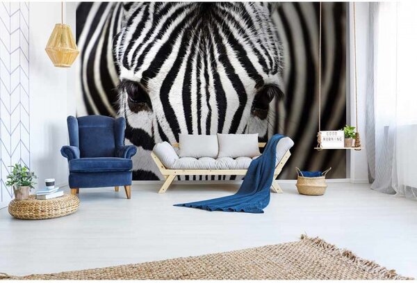 DIMEX | Vliesové fototapety na zeď Zebra MS-5-0234 | 375 x 250 cm| černá, bílá