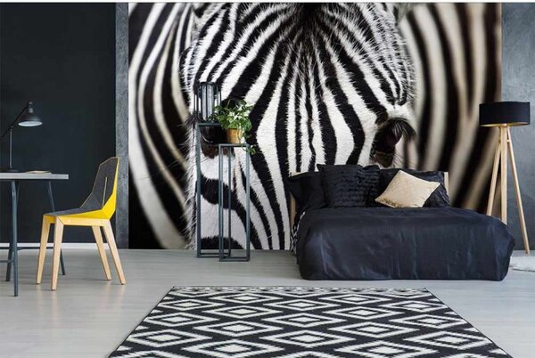 DIMEX | Vliesové fototapety na zeď Zebra MS-5-0234 | 375 x 250 cm| černá, bílá