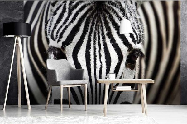 DIMEX | Vliesové fototapety na zeď Zebra MS-5-0234 | 375 x 250 cm| černá, bílá