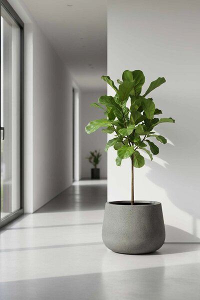 Květináč GIRAR, sklolaminát, výška 37 cm, tmavě šedá
